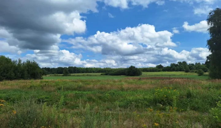 Działka budowlana Przybymierz, ul. Leśna