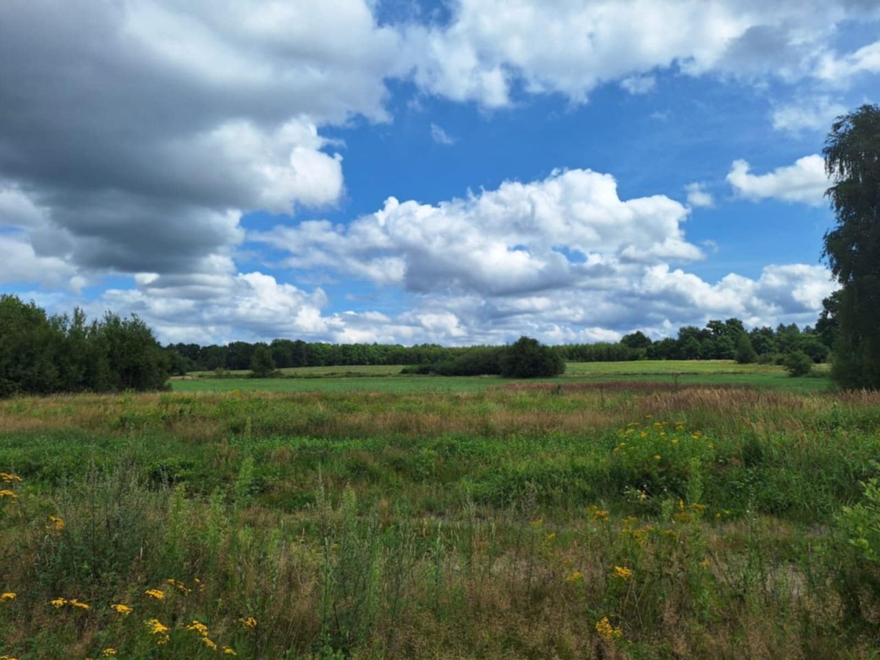 Działka budowlana Przybymierz, ul. Leśna