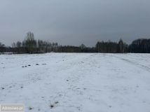 Działka rolno-budowlana Aleksandria. Zdjęcie 3