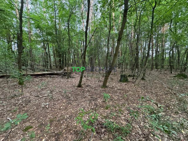 Działka budowlana Nadarzyn. Zdjęcie 1