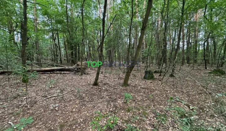 Działka budowlana Nadarzyn