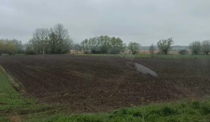 Działka rod Jurków