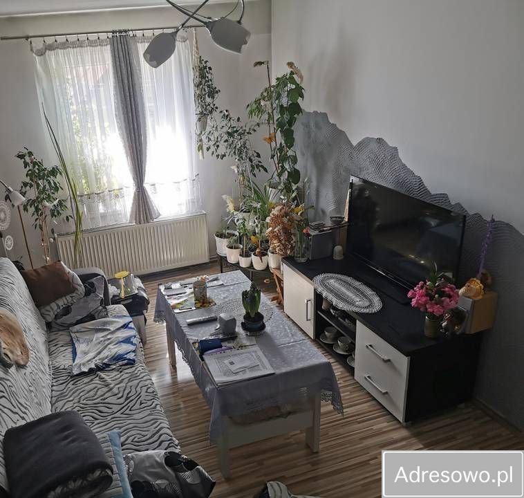 gospodarstwo Czeladź. Zdjęcie 2