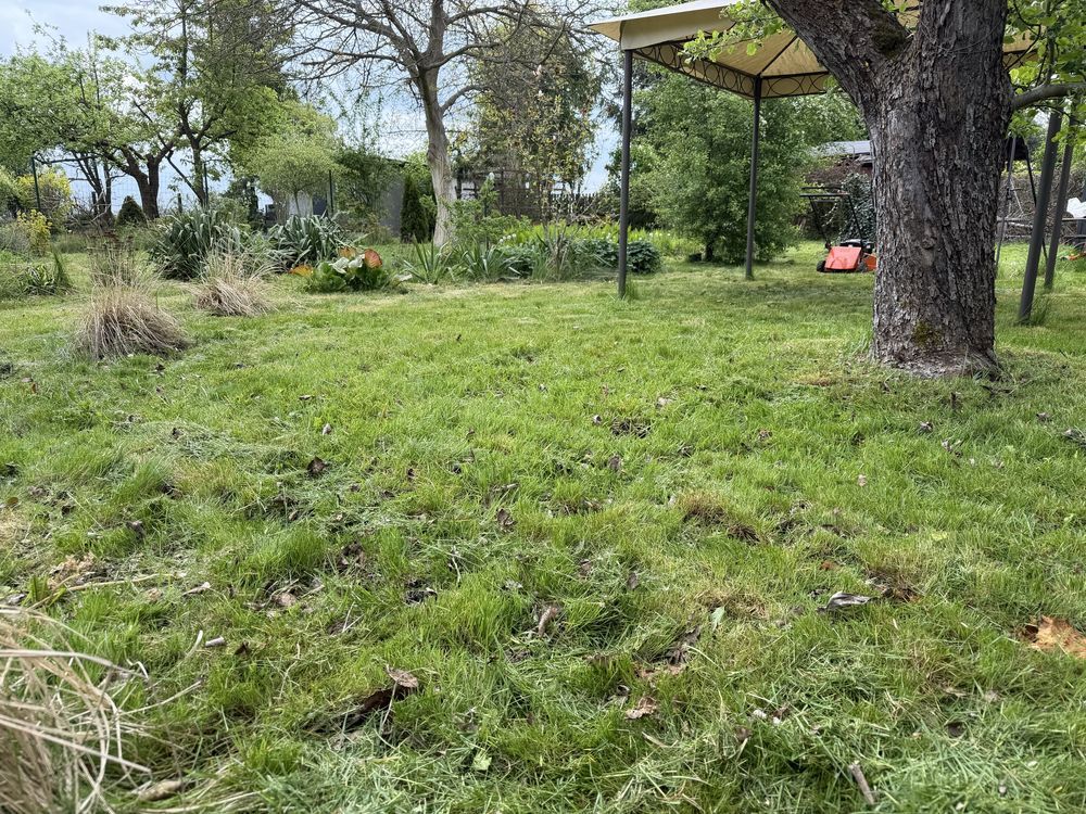 Działka rod Gliwice Sikornik. Zdjęcie 5