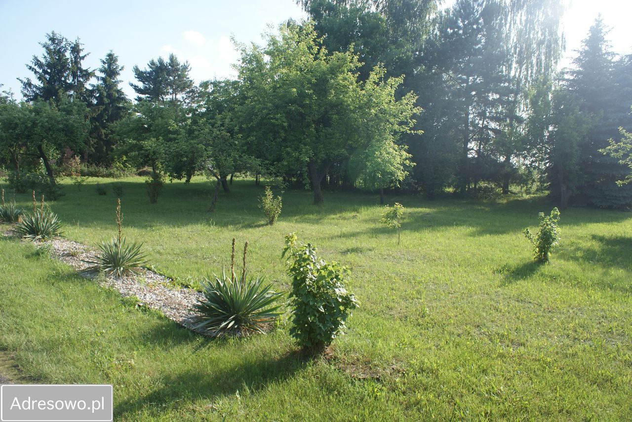 dom wolnostojący, 3 pokoje Dobroń. Zdjęcie 17