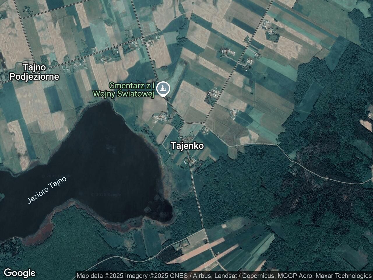 Działka leśna Tajenko