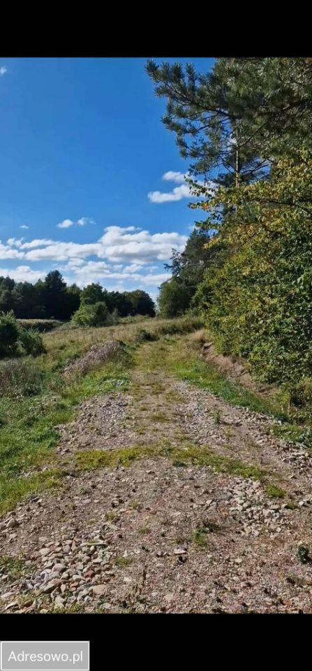 Działka budowlana Prokowo, ul. Kościelna. Zdjęcie 2