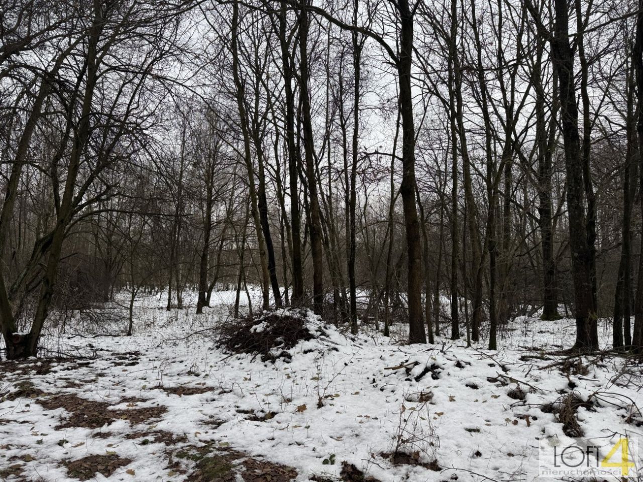 Działka rolno-budowlana Szarwark. Zdjęcie 5