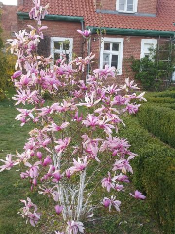 dom wolnostojący, 6 pokoi Kadyny. Zdjęcie 22