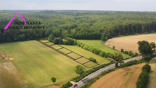 Działka budowlana Zdrada, ul. Leśna. Zdjęcie 1