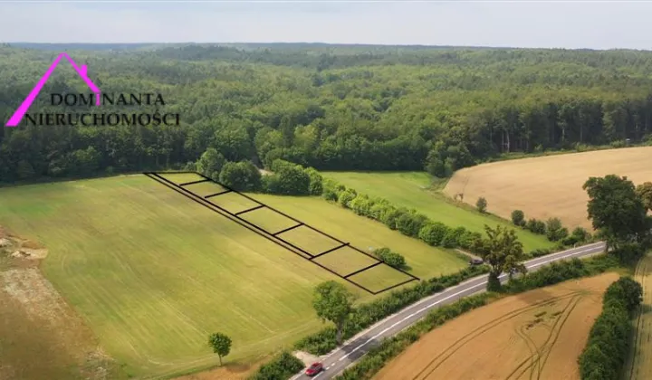 Działka budowlana Zdrada, ul. Leśna