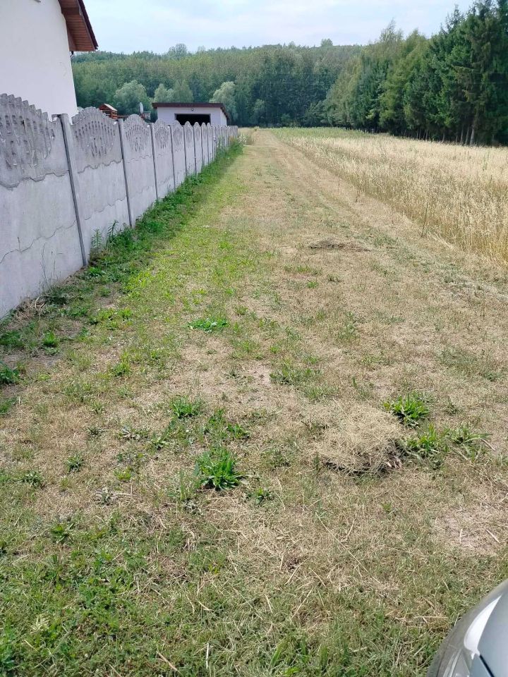 Działka budowlana Kamienica. Zdjęcie 2