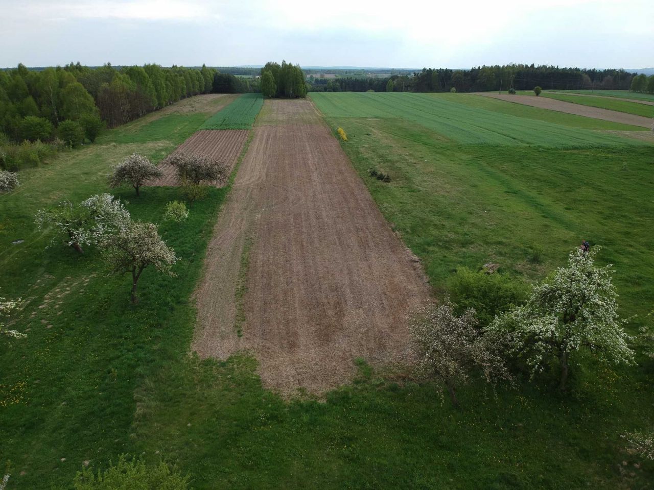 Działka siedliskowa Reczków Nowy. Zdjęcie 5