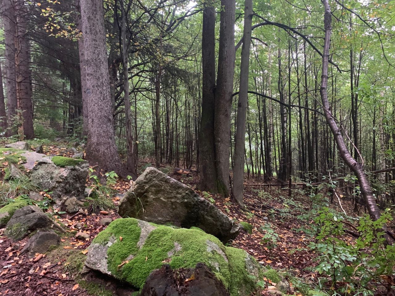 Działka inwestycyjna Karpacz, ul. Górna. Zdjęcie 4