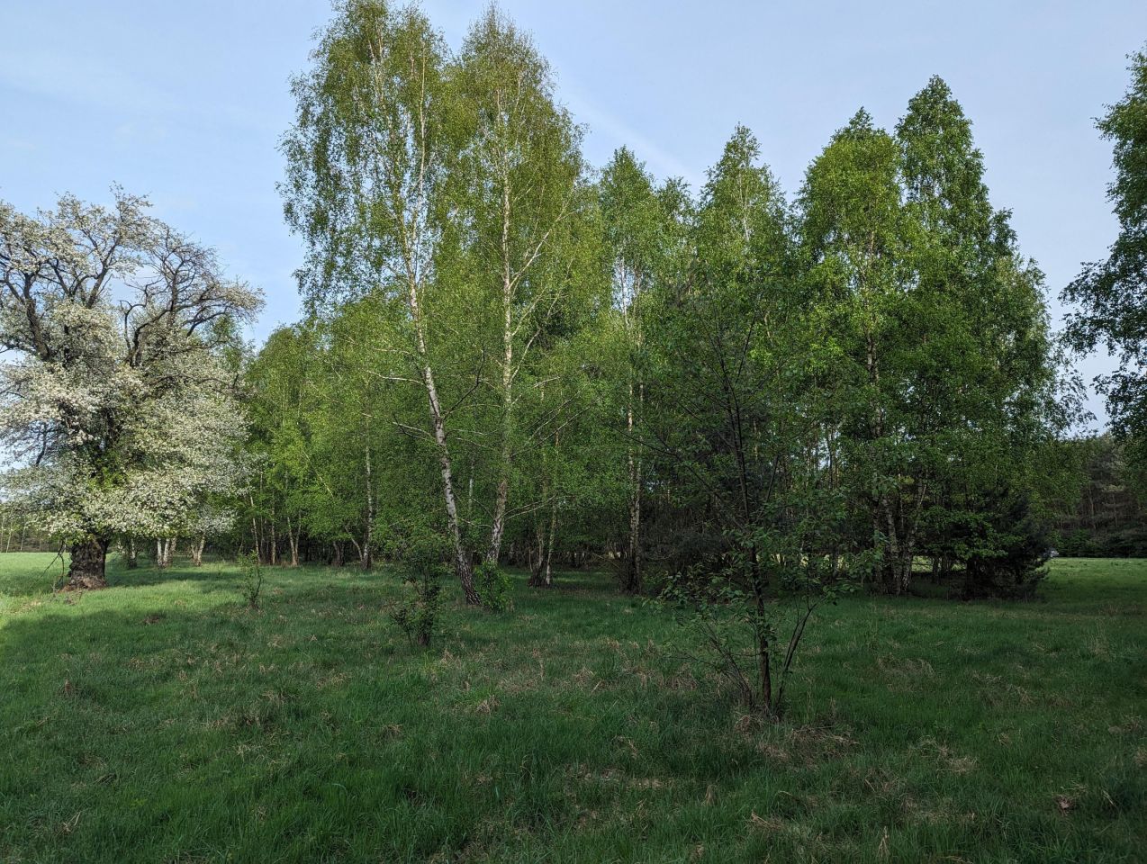 Działka budowlana Jesionna, ul. Radosna. Zdjęcie 6