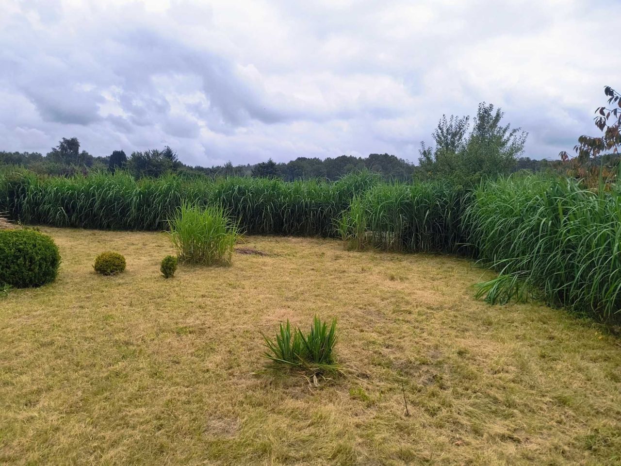 Działka rod Słupsk, ul. Gdańska