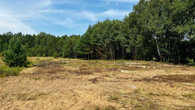 Działka rolno-budowlana Miłkowska Karczma. Zdjęcie 1