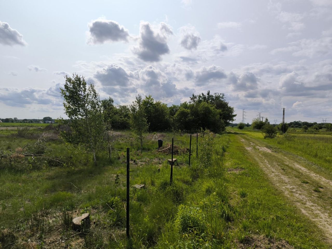 Działka budowlana Wólka Czarnińska. Zdjęcie 4