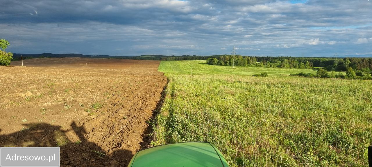 Działka rolna Jaworzno. Zdjęcie 8