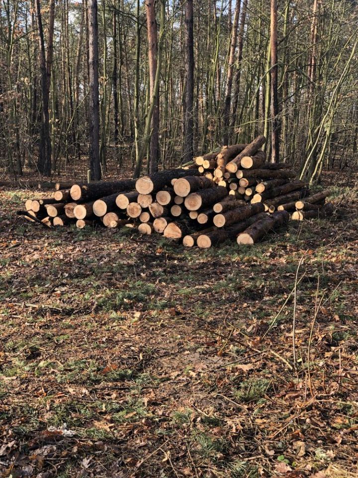 Działka budowlana Bystrzyca. Zdjęcie 5