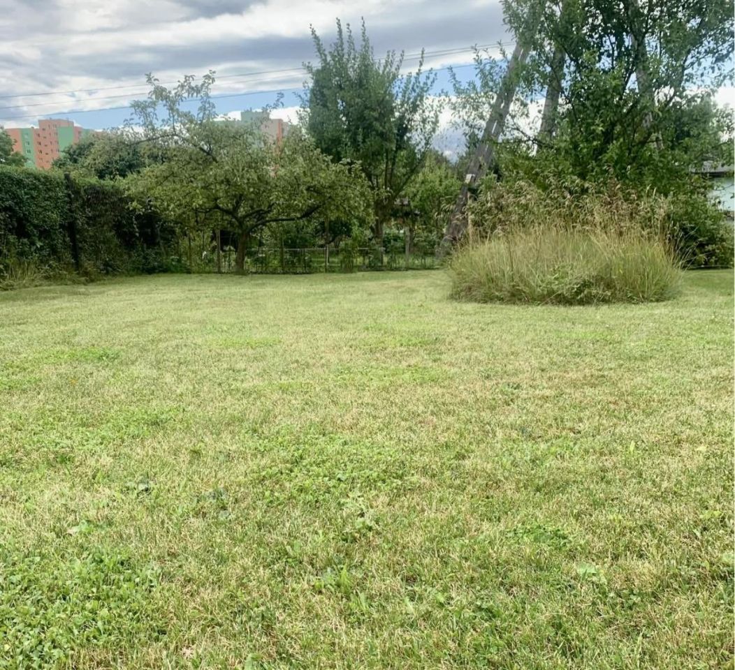 Działka rekreacyjna Jelenia Góra Zabobrze, ul. Działkowicza. Zdjęcie 6