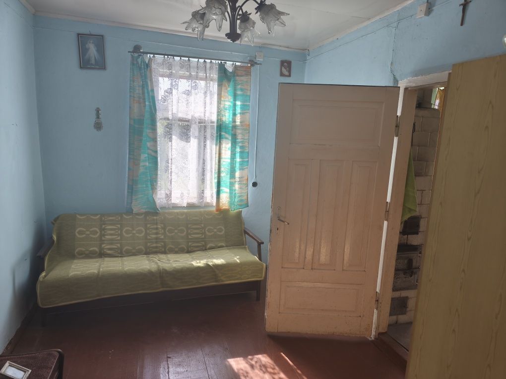 gospodarstwo Ściony. Zdjęcie 7