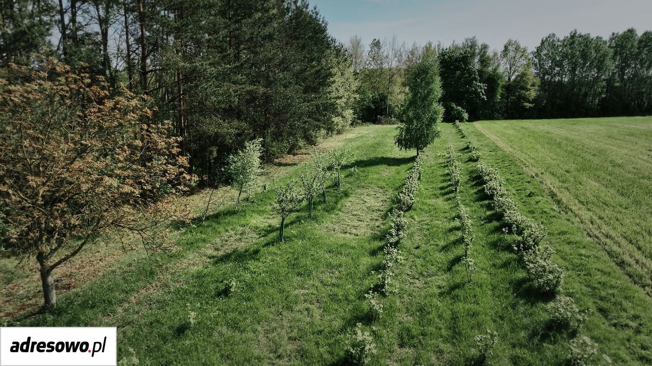 Działka budowlana Mokra Wieś Szymanówek. Zdjęcie 14