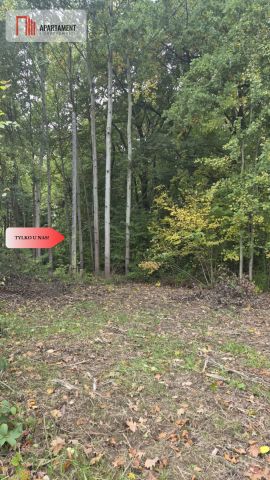 Działka siedliskowa Słowienkowo. Zdjęcie 14