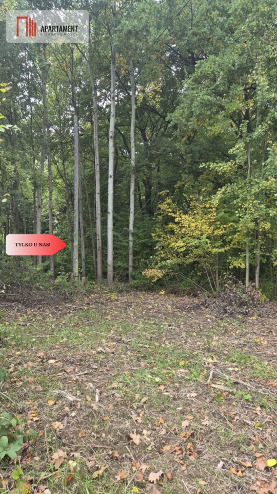 Działka siedliskowa Słowienkowo. Zdjęcie 14