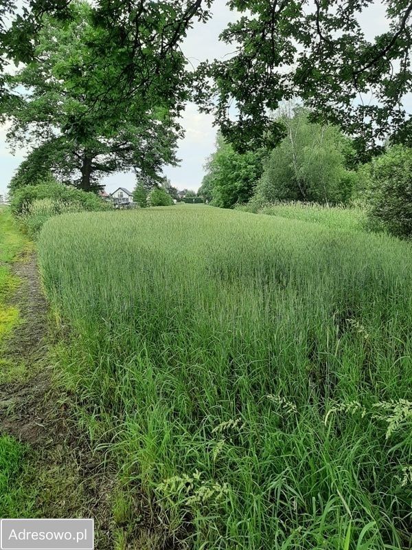 Działka inwestycyjna Kaniów, ul. Wincentego Witosa. Zdjęcie 3