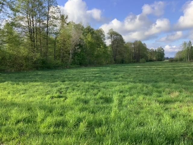 Działka rolno-budowlana Gózd Karszówka, ul. Osiedlowa. Zdjęcie 2