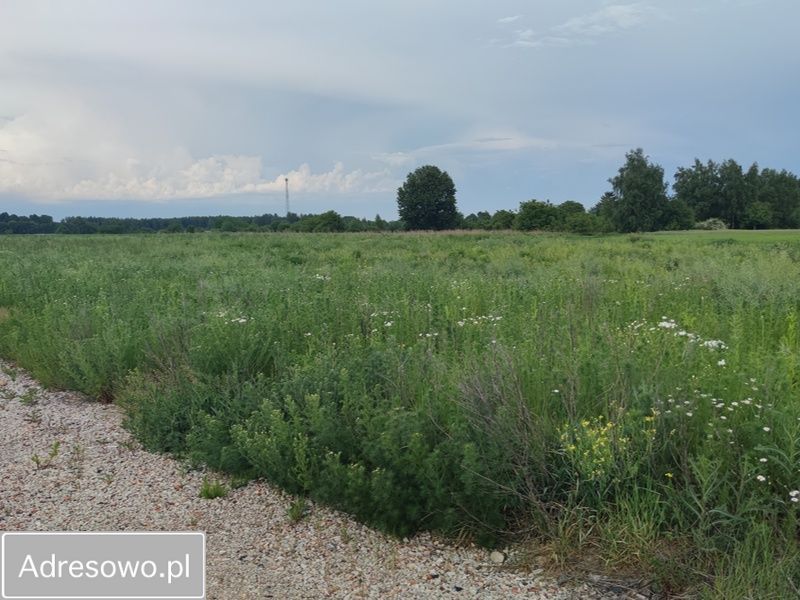 Działka budowlana Motycz