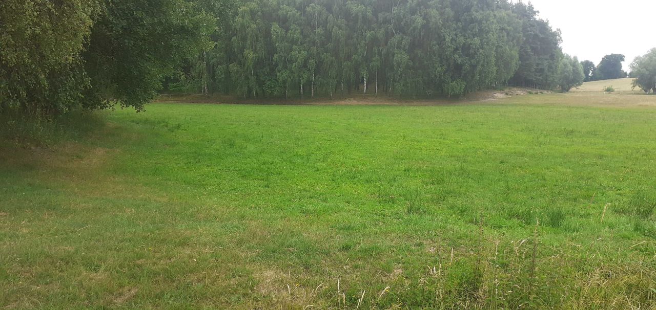 Działka rolna Zielona Góra. Zdjęcie 2