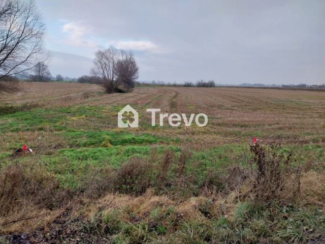 Działka rolna Wocławy, ul. Królowej Bony. Zdjęcie 5