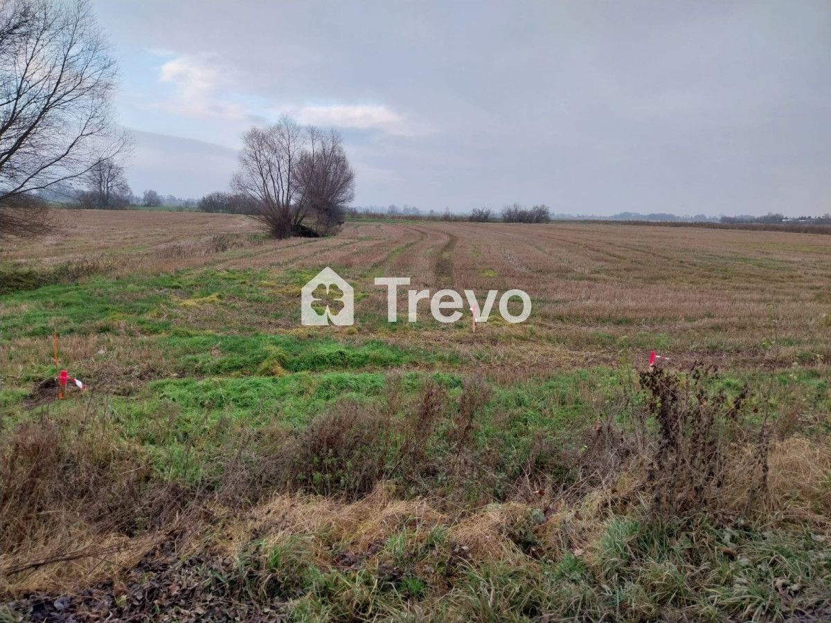 Działka rolna Wocławy, ul. Królowej Bony. Zdjęcie 5