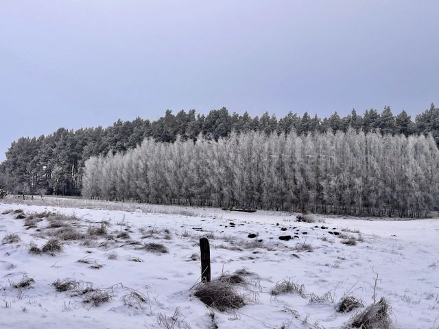 Działka budowlana Grzybowo. Zdjęcie 1