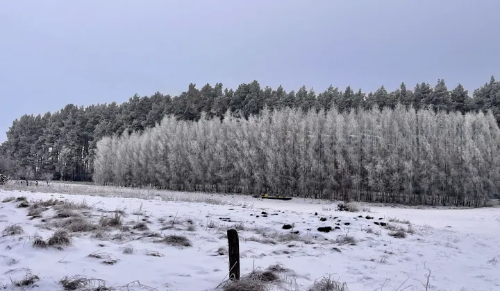 Działka budowlana Grzybowo