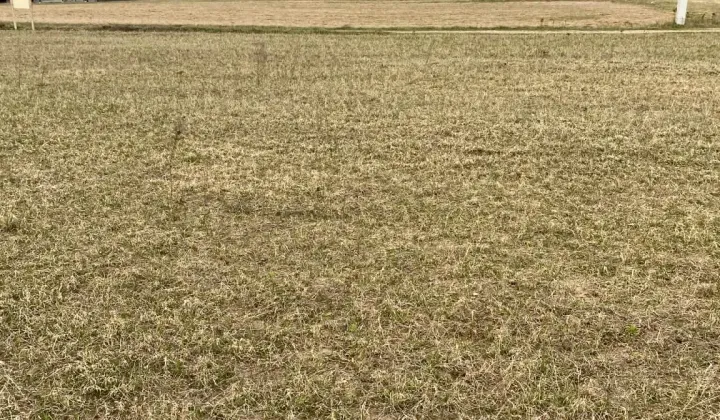 Działka budowlana Skrzynka