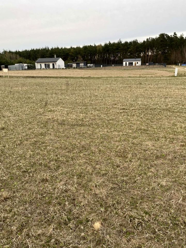 Działka budowlana Skrzynka. Zdjęcie 1