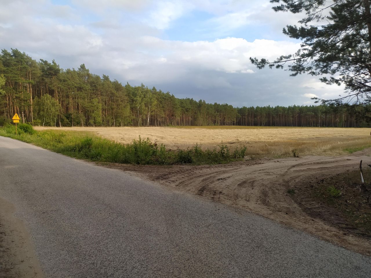 Działka budowlana Józefowo. Zdjęcie 2