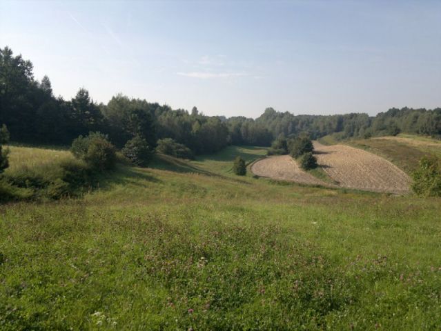 Działka rolno-budowlana Bartłomiejowice. Zdjęcie 1