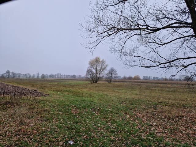 Działka rolna Strachówka. Zdjęcie 1