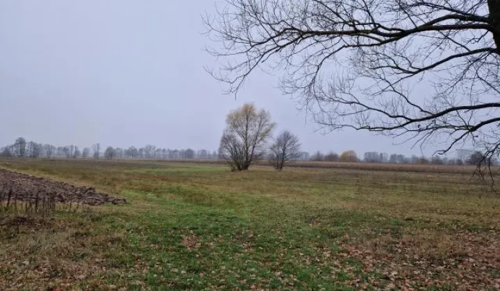 Działka rolna Strachówka