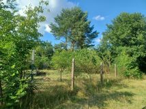 Działka rekreacyjna Chojne. Zdjęcie 1