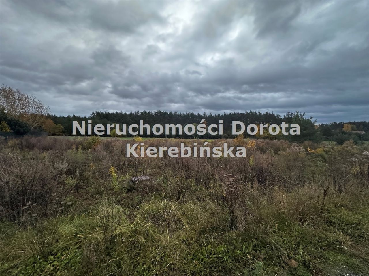 Działka budowlana Wiaderno. Zdjęcie 5