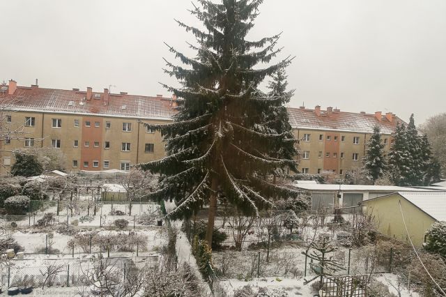 Mieszkanie 3-pokojowe Szczecin Pogodno, ul. Franciszka Ratajczaka. Zdjęcie 12