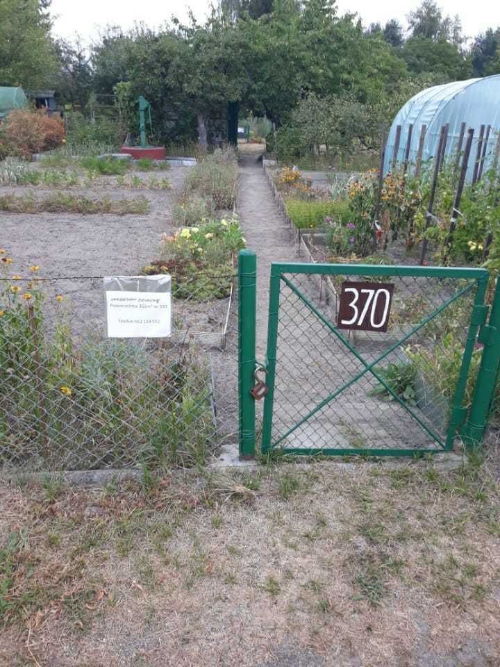 Działka rod Wrocław Psie Pole, ul. Aptekarska. Zdjęcie 5