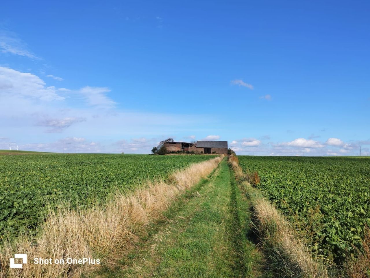 Działka rolno-budowlana Kępa Troszyńska. Zdjęcie 7