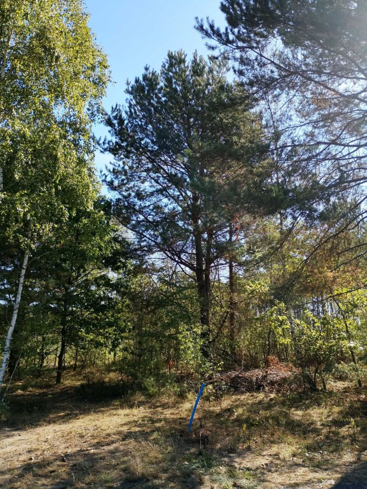 Działka budowlana Olesin. Zdjęcie 3