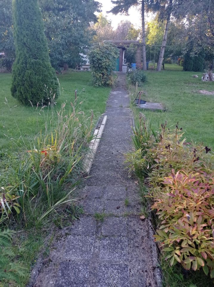 Działka rod Iława. Zdjęcie 2